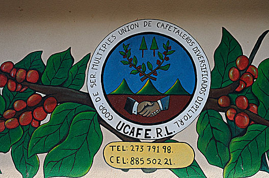 尼加拉瓜,咖啡种植园,联系,标识,电话号码