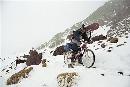 山地车,骑自行车,骑,雪中,骑车,自行车,探险,假日