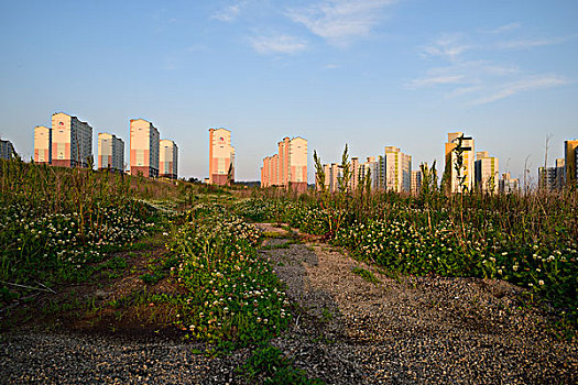 住宅小区