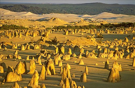 尖峰石阵,荒芜,石灰石,南邦国家公园,西澳大利亚,澳大利亚