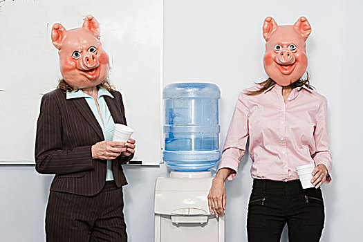两个,职业女性,猪,面具,冷水机