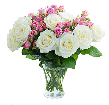 粉色,白色,盛开,玫瑰,白色蔷薇,花,花束,花瓶,隔绝,白色背景,背景