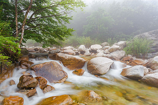 陕西秦岭沣峪风光