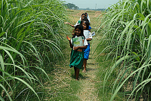 一群孩子,上学,达卡,孟加拉,五月,2007年