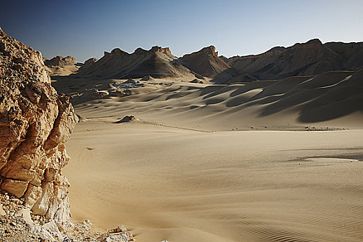 利比亚沙漠,靠近,绿洲,埃及,非洲