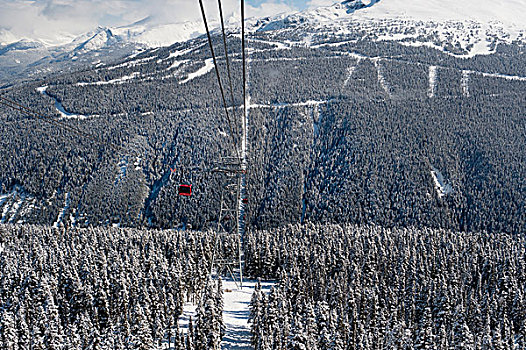 红色,缆车,骑,俯视,积雪,树林,不列颠哥伦比亚省,加拿大