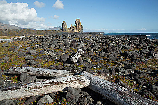冰岛,斯奈山半岛,悬崖,浮木,火山岩,海滩,火山,蓝天