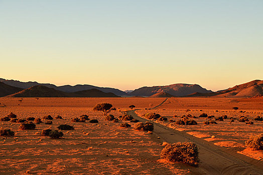 沙子,轨迹,沙,沙漠,山,地平线,日落,纳米比亚,非洲