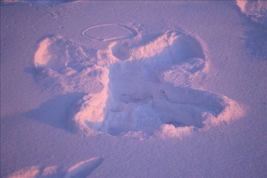 雪,天使,晚间,俄罗斯,公园,冬天