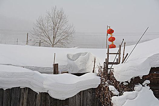 北国冬雪