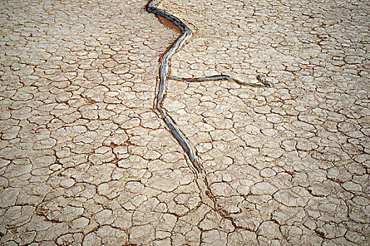 枯木,根部,缝隙,粘土,索苏维来地区,国家公园,纳米比亚