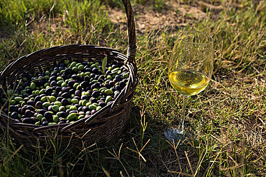 收获,橄榄,葡萄酒杯,草丛,晴天