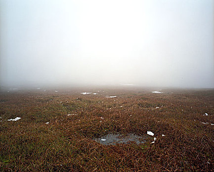 低,角度,风景,地点,雾气,冰岛