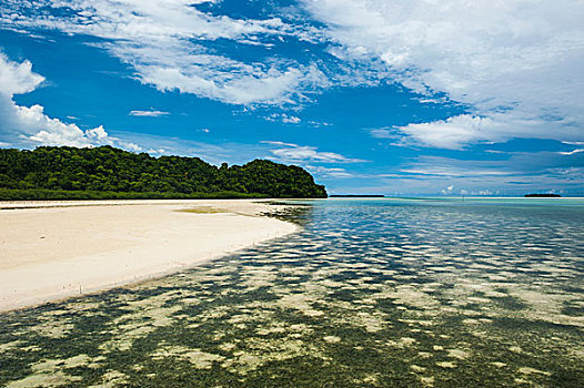 沙滩,鲤鱼,岛屿,洛克群岛,帕劳,中心,太平洋