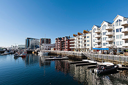 排,水岸,公寓,罗浮敦群岛,挪威