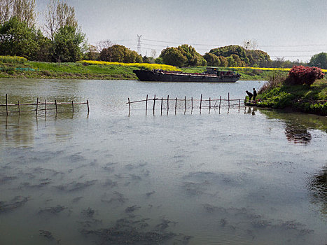 春天的无锡梁鸿湿地