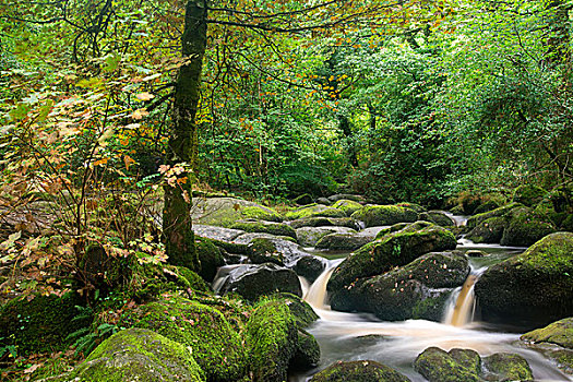 瀑布,风景,达特姆尔高原,国家公园,英格兰