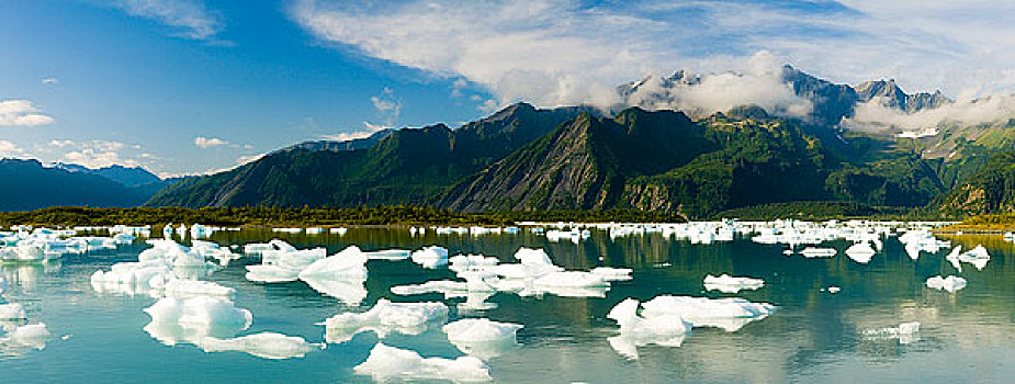 全景,湖,漂浮,冰山,奇奈峡湾国家公园,肯奈半岛,阿拉斯加,夏天