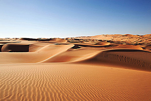 沙丘,绿洲,阿布扎比,阿联酋