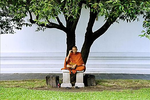 泰国,曼谷,玛哈泰寺,和尚,坐,树下,交谈,手机