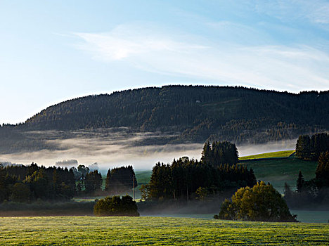 晨雾,高处,区域,靠近,巴伐利亚,德国,欧洲