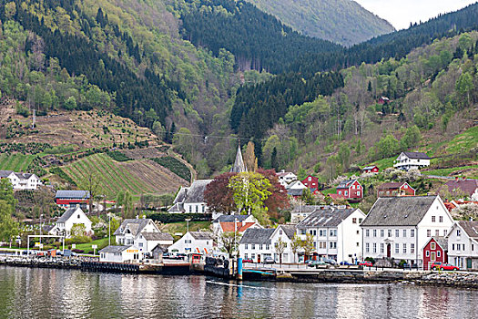 风景,山,乡村,挪威,峡湾