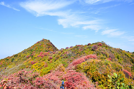 秦岭的秋