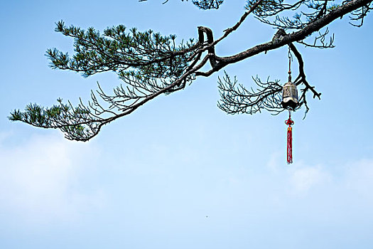 悬挂在树枝上的铜钟
