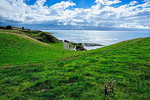 风景,上面,上方,半岛,南岛,新西兰