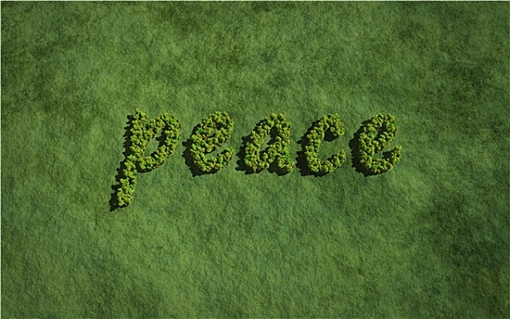 平和,创作,树,草,背景