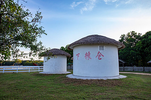 江苏省东海县,青松岭森林公园初秋美