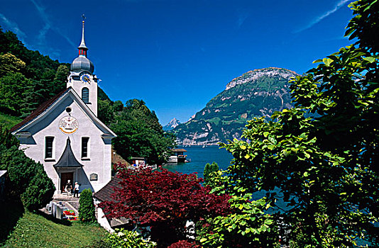 教堂,鲍恩,岸边,湖,看,局部,瑞士,欧洲