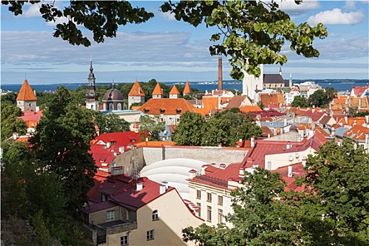 风景,要塞,塔,教堂,天空,背景,塔林,爱沙尼亚