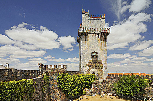 老,防御,城堡,塔,葡萄牙