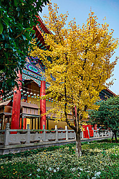 湖南长沙古开福寺－佛殿,钟鼓楼,古银杏,佛塔