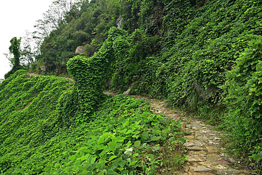 河北省石家庄平山县藤龙山风景区