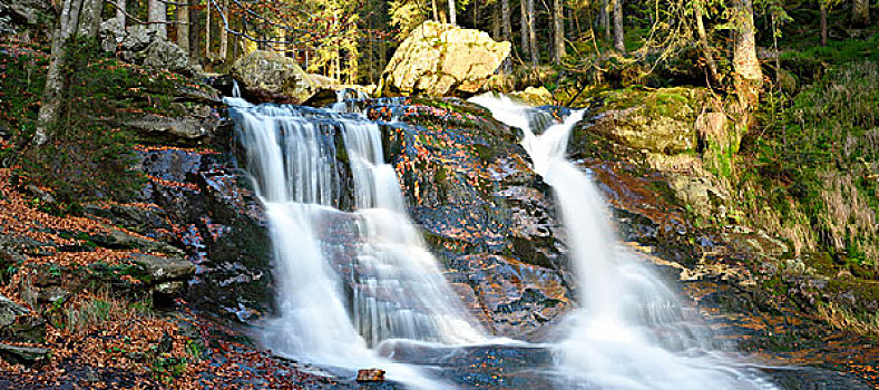 风景,瀑布,秋天,巴伐利亚森林国家公园,博登麦斯,地区,巴伐利亚,德国