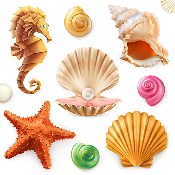 壳,蜗牛,软体动物,海星,海马,象征