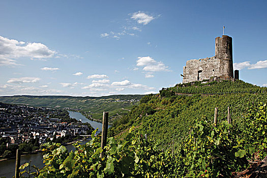 城堡,靠近,摩泽尔河,莱茵兰普法尔茨州,德国,欧洲