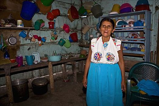 成年,女人,站立,厨房,帕潘特拉,维拉克鲁斯,墨西哥