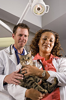 肖像,两个,兽医,诊所,拿着,宠物,猫