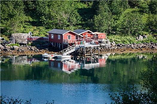 特色,挪威,渔村,传统,红色,小屋,瑞恩,罗浮敦群岛