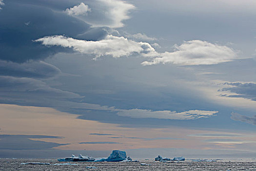 南极,布朗布拉夫,透镜状,云,展示,风,临近