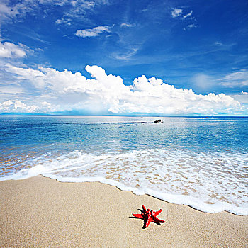 风景,热带海岛,海滩,完美,天空