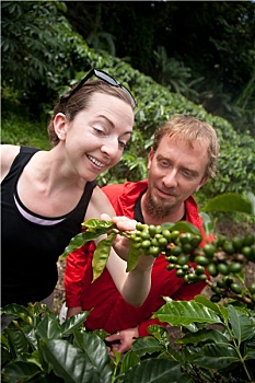 美国人,欧洲,情侣,咖啡种植园,哥斯达黎加