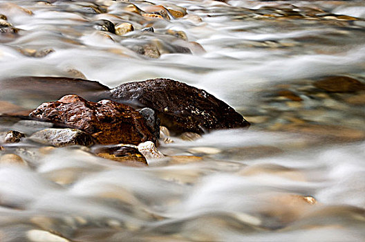 漂石,急流,蚊子,溪流,班芙国家公园,艾伯塔省,加拿大