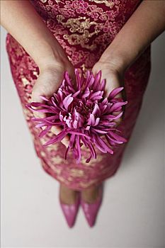 特写,女人,穿,粉色,旗袍,拿着,紫花