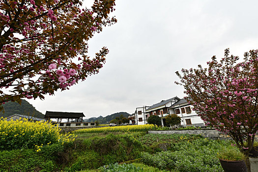 贵州遵义市播州区花茂村,绿水青山引游客