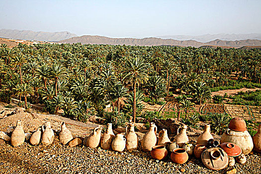 非洲,北非,摩洛哥,德拉河谷,陶器,棕榈树,小树林,扎古拉棉