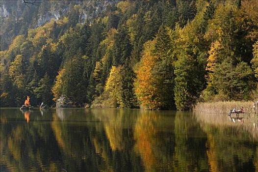 小,山中小湖,树林,奥地利